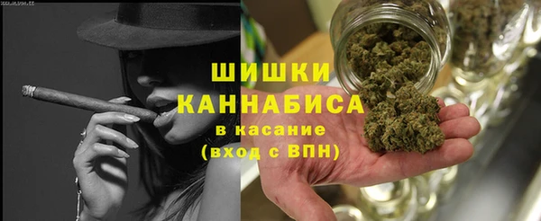 MESCALINE Каменка