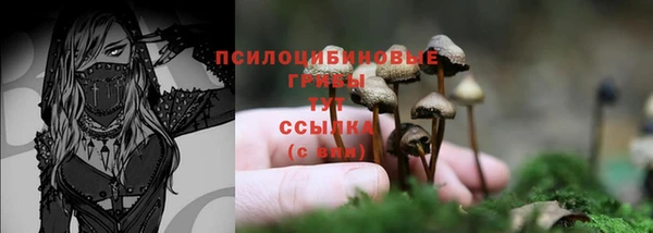 шишки Каменск-Шахтинский