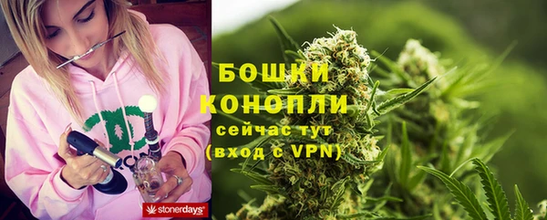 ГАЛЛЮЦИНОГЕННЫЕ ГРИБЫ Каменногорск