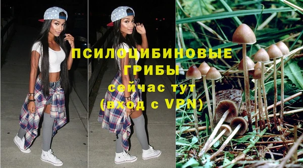 шишки Каменск-Шахтинский