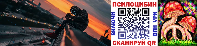 Псилоцибиновые грибы мицелий  Купить где  Балахна 